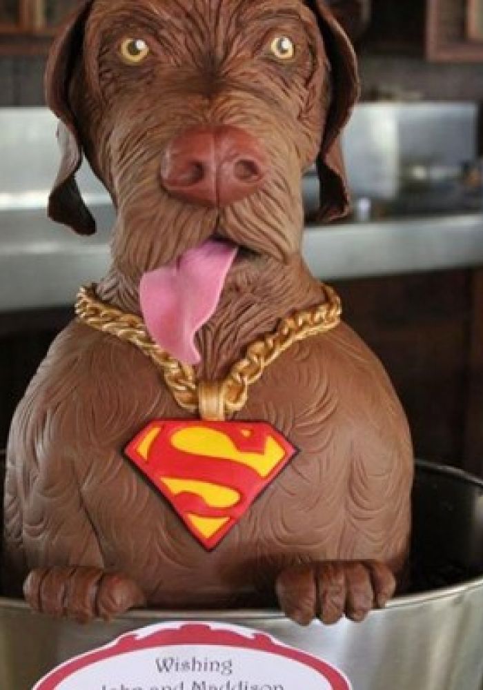 Sculpted Superman Dog Grooms Cake